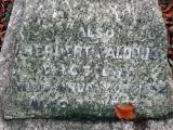 image of grave number 427854